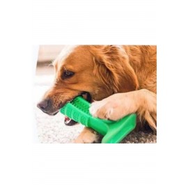 Köpek Diş Fırçası Isırma Aparatı Diş Kaşıma Oyuncağı Küçük Boy