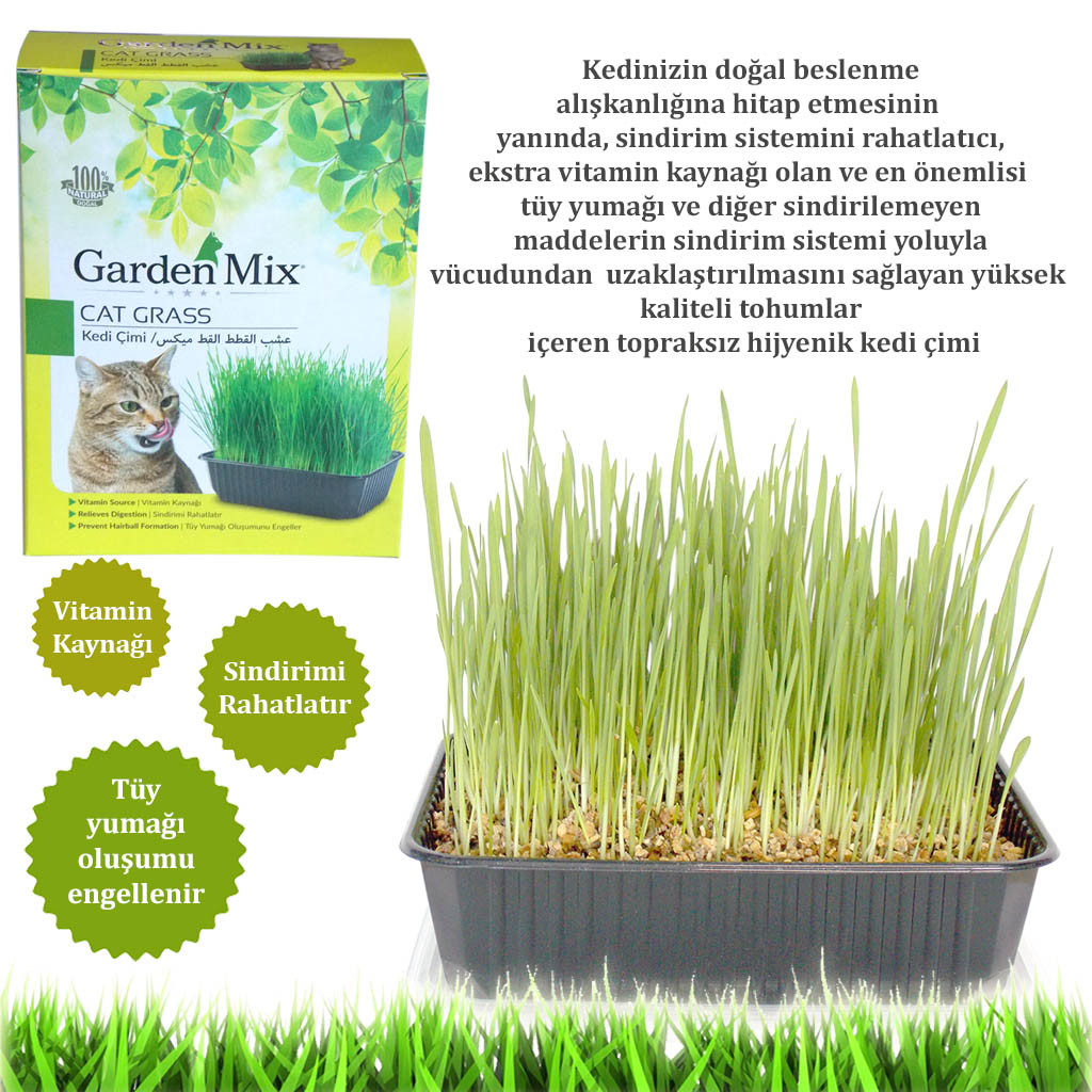 Gardenmix Kedi Çimi - Doğal ve Hijyenik Tüy Yumağı Önleyici Kedi Çimi