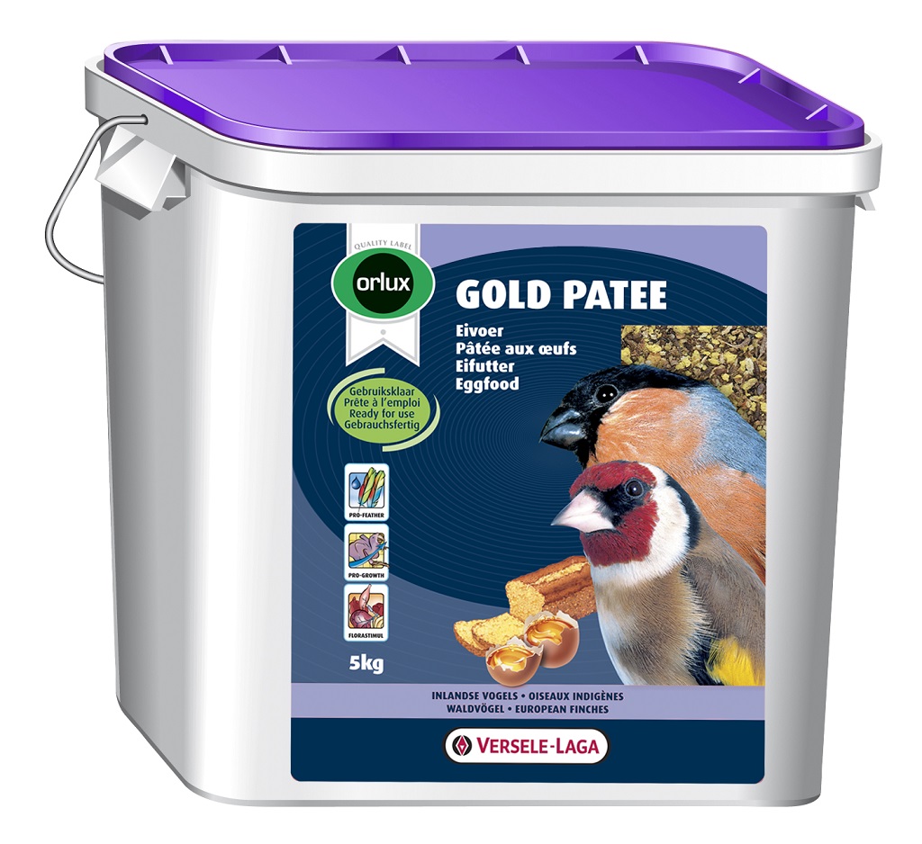 Versele Laga Orlux Gold Patee European Finches Nemli Mama 5kg - Besinsel Değer Yüksek Yumurta Maması